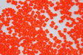 ALABASTER ORANGE NEON