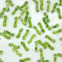 CONFETTI SPLASH YELLOW GREEN