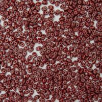 STARDANCE MAROON