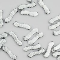 SILVER SPLASH CHALK
