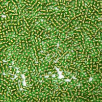 CHRYSOLITE COPPER LINED