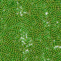 CHRYSOLITE BRONZE LINED