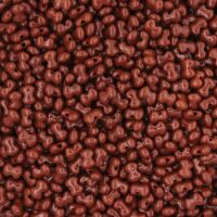 OPAQUE CHOCOLATE