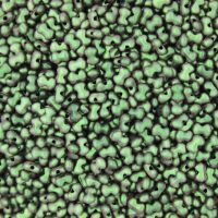 POLYCHROME CHAMELEON GREEN