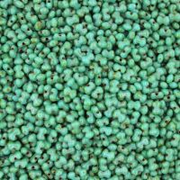 TURQUOISE GREEN TRAVERTIN DARK