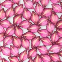 HALO PERSIAN PINK