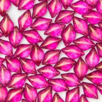 HALO FRENCH ROSE