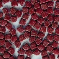 STARDANCE MAROON