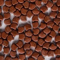 STARDANCE GINGERBREAD
