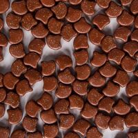 STARDANCE GINGERBREAD