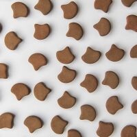 ESNEON CHOCOLATE