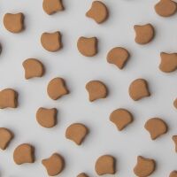 gnk-02010-92940-0500