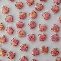 CHALK RED TERRACOTTA