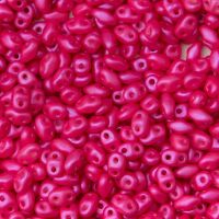 TUTTI FRUTTI PITAHAYA