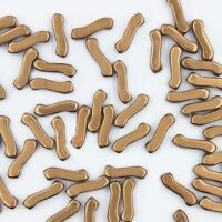 CRYSTAL FULL LABRADOR