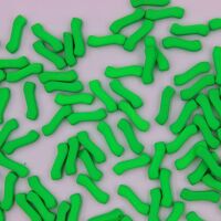 ALABASTER GREEN NEON