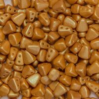 TUTTI FRUTTI CARAMBOLA 0.1 kg