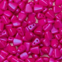 TROPICAL PASSION PINK 0.1 kg