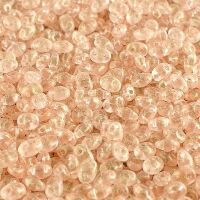 STARDUST ROSALINE