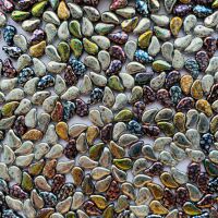 PAISLEY DUO VACUUM COATING SPLASH MIX 0.1 kg