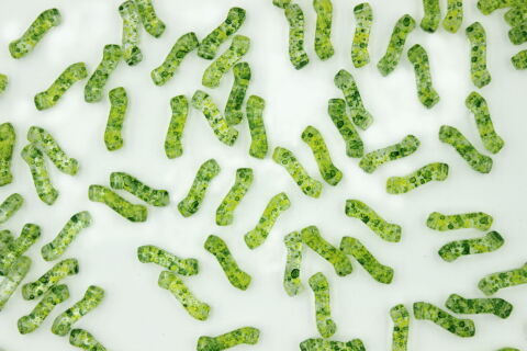 CONFETTI SPLASH YELLOW GREEN