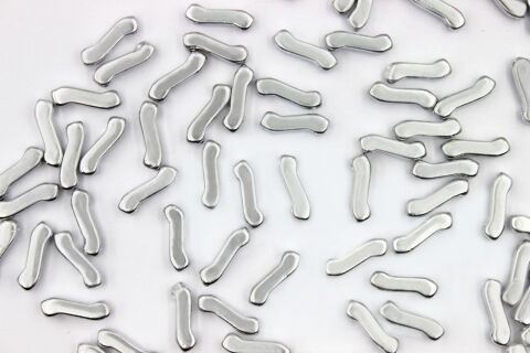 CRYSTAL FULL LABRADOR