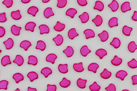 ALUCOLOUR HOT PINK