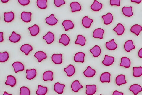 ALUCOLOUR MAGENTA