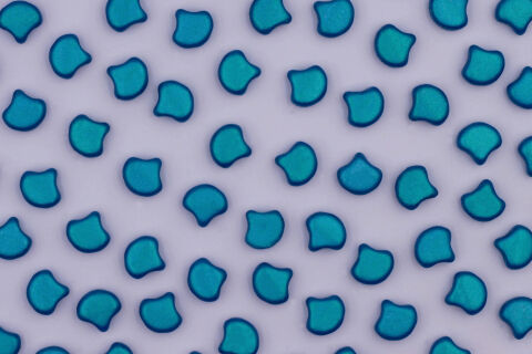 ALUCOLOUR AZURE BLUE