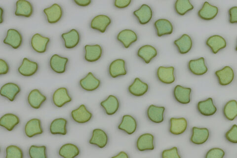ALUCOLOUR LINDEN GREEN