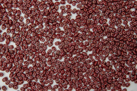 STARDANCE MAROON