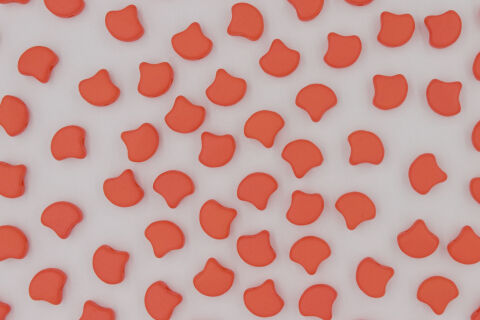 LIGHT MATTE ORANGE