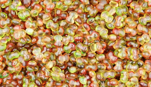 TWO COLORS GREEN RED