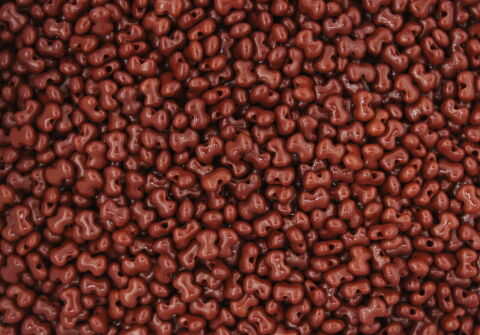 OPAQUE CHOCOLATE