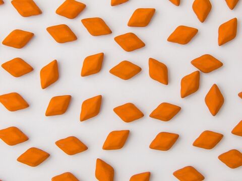 ESNEON CARROT