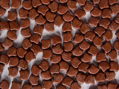 STARDANCE GINGERBREAD