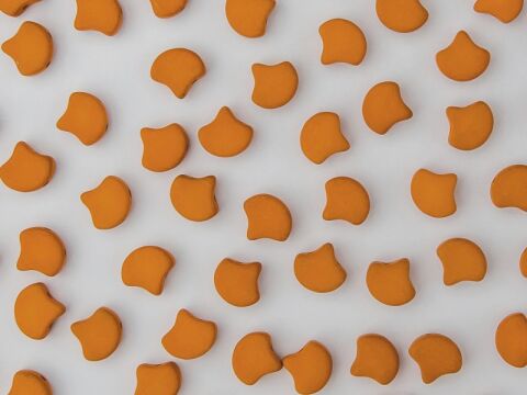 ESNEON CARROT