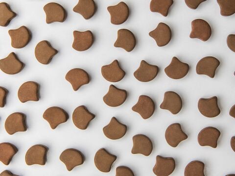 ESNEON CHOCOLATE