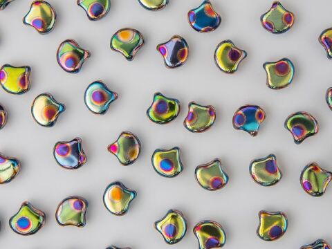 JET SUMMER RAINBOW DOT