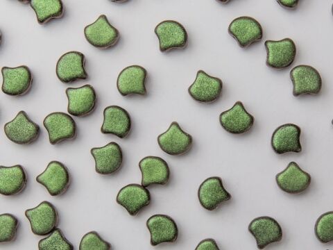 POLYCHROME CHAMELEON GREEN