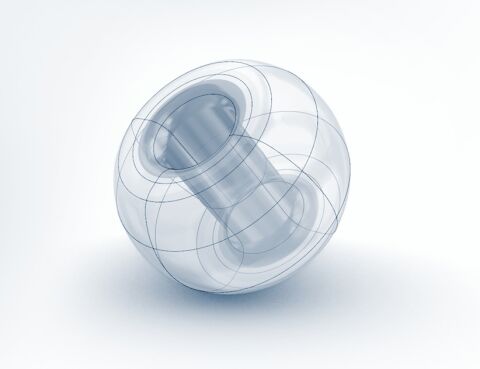 TROPICAL RAINFOREST