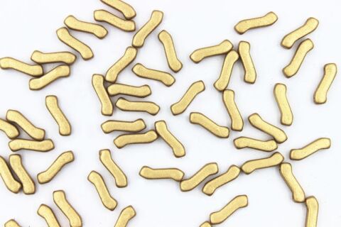 CRYSTAL BRONZE PALE GOLD