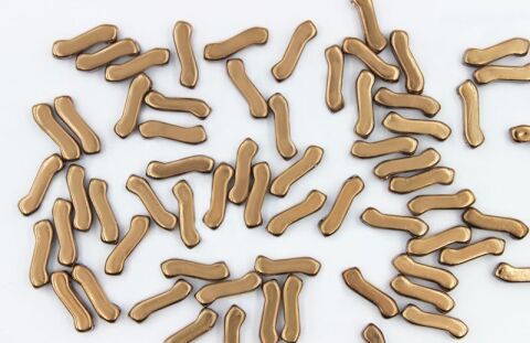 CRYSTAL FULL LABRADOR