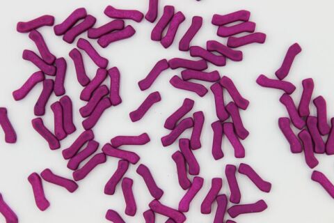 ALABASTER VIOLET NEON