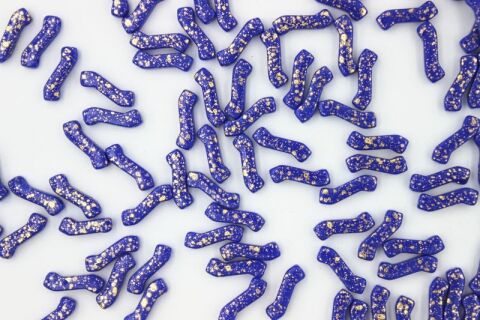 GOLD SPLASH OPAQUE BLUE