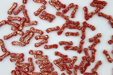 GOLD SPLASH OPAQUE CORAL RED