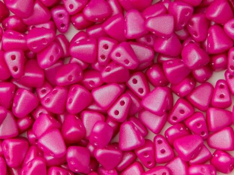TROPICAL FLAMINGO PINK 0.1 kg