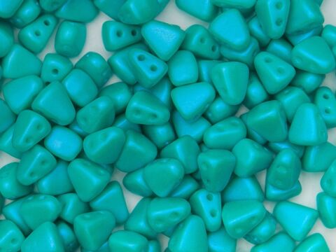 TROPICAL MINT 0.1 kg