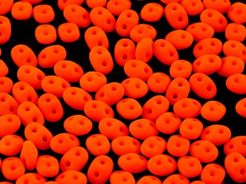 ALABASTER ORANGE NEON