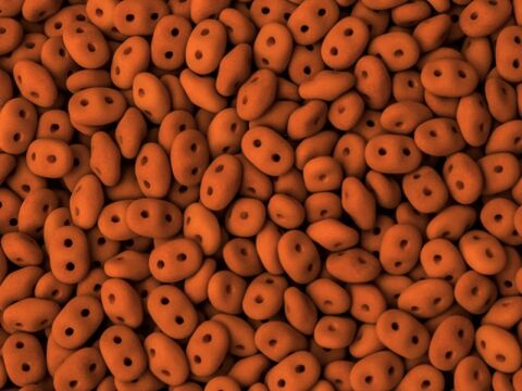 ESNEON CARROT